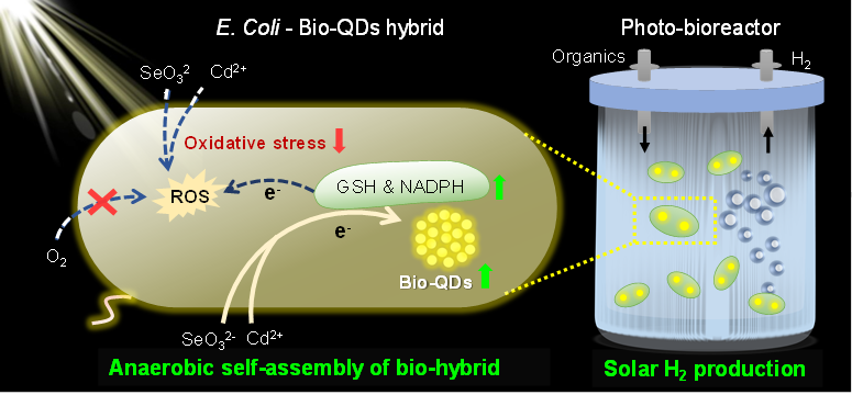 下载.png 下载.png