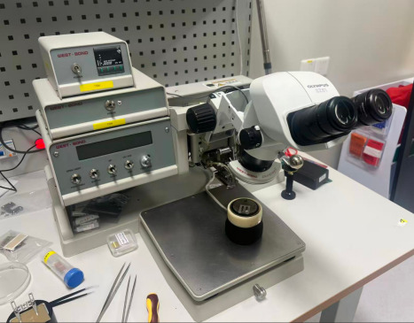 1111111.png 1111111.png